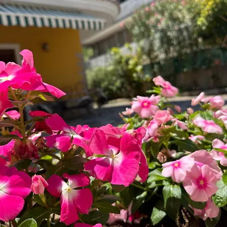 Residenza Eolo